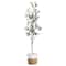 7ft. Olive Tree with Natural Trunk in Handmade Jute Basket